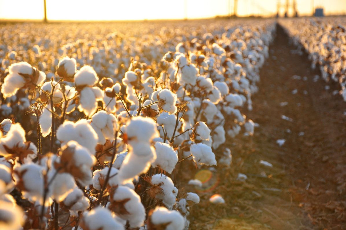Tessuti pregiati per la progettazione e il design d'interni - KOHRO